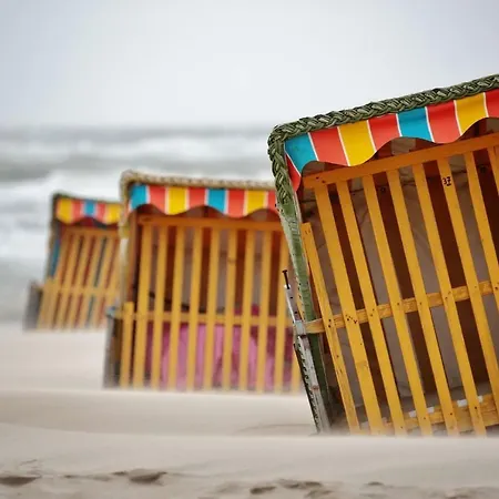 Дом отдыха Vakantiehuis Witsand 1b *