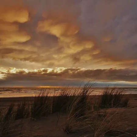 Дом отдыха Vakantiehuis Witsand 1b